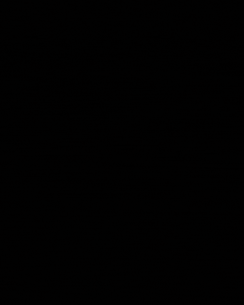 yang13.gif